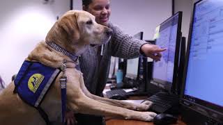 Shepherd Center Launches New Electronic Health Record System