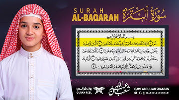 سورة البقرة كاملة مكتوبة و مسموعة مع تتبع صفحات المصحف الشريف | القارئ عبد الله شعبان Surah Albaqara