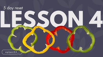 Fasting Mimicking Diet DIY 🫑 Lesson 4: Tools