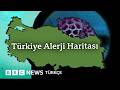 Polen, toz ve alerji: Neden artıyor?