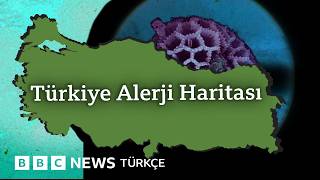 Polen, toz ve alerji: Neden artıyor?