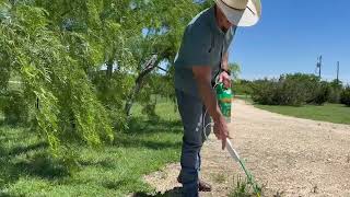 Spruce Weed &amp; Grass Killer₂ Bundle, ein sicheres und wirksames Unkrautvernichtungsmittel  Warum ich