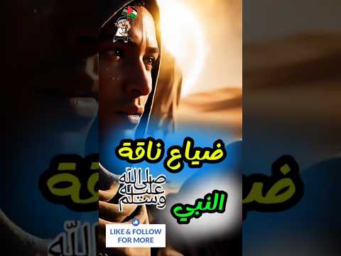 ناقة النبي ﷺ المعجزة التي حي رت الصحابة