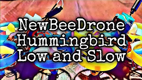 Newbeedrone Hummingbird - Low Flow