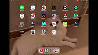 How to get loud mic on mobile screenshot 5