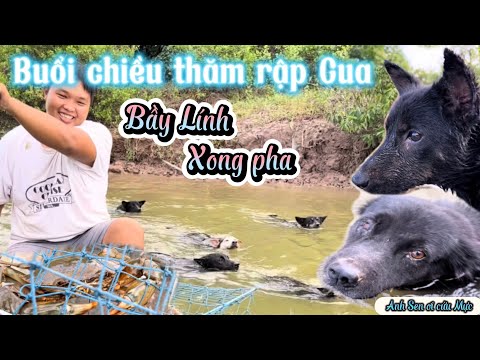 Video [Clip Ngắn] Dẫn bầy Lính đi thăm rập Cua, Mực Zoro... - youtube