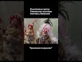 "Кукольное искусство"- выставка #новыйгод #art #christmas