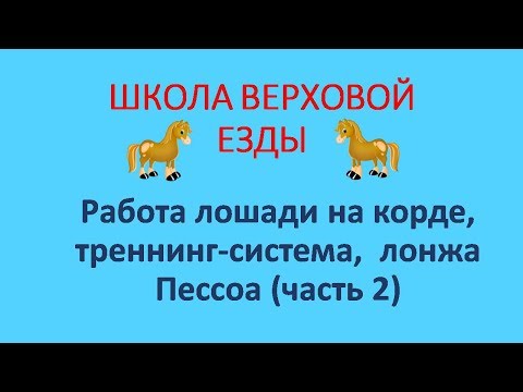 Работа на корде/тренинг система Пессоа