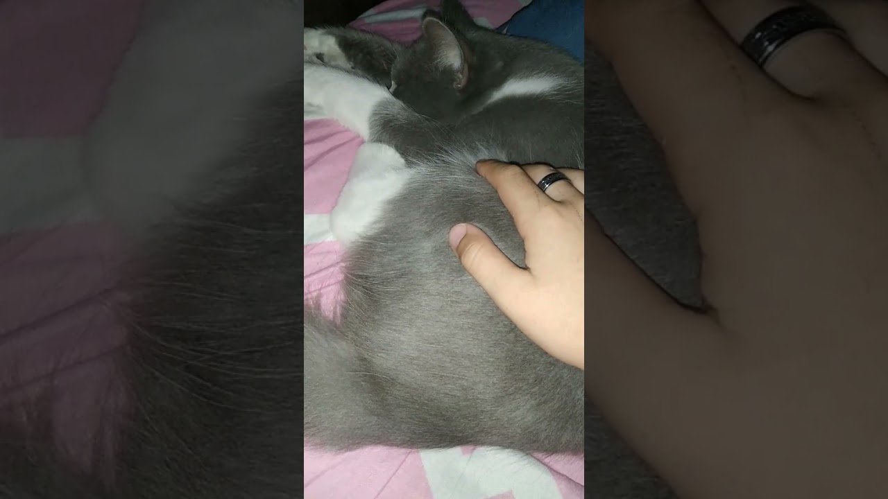 17 сентября 2021 г.