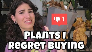 PLANTS I REGRET BUYING 💀 5 Houseplants I Probably Shouldn't Have Spent Money On 
