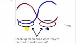 Little Known Facts About Calories - Sleepy Time