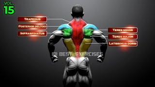 The Complete Guide For Building A Bigger Back