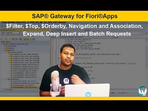 SAP® Netweaver® Gateway - Query Options, Navigation and Association, Deep Insert and Batch