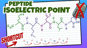 Peptide Isoelectric Point with pI Shortcut
