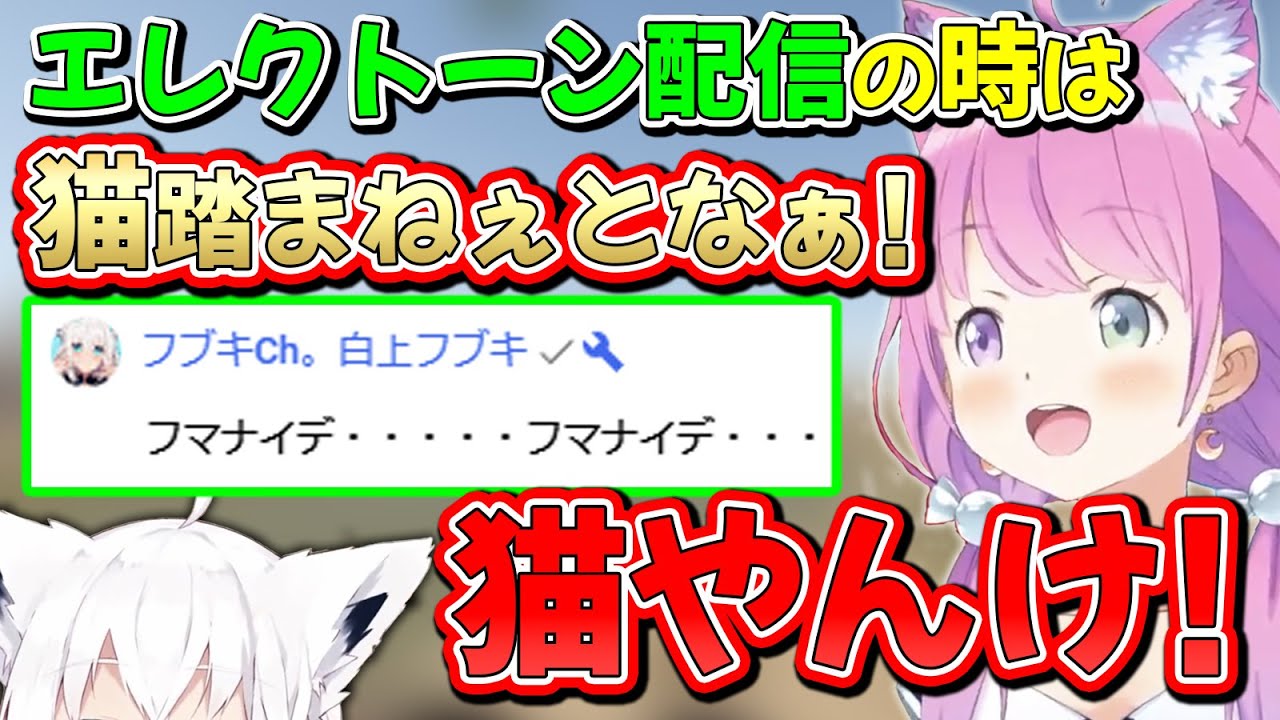 内なる欲望を隠せないルーナ姫と、本当の姿を隠せないふぶちゃん【姫森ルーナ/白上フブキ/ホロライブ切り抜き】