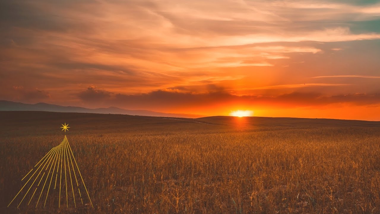 Ярче солнца треки