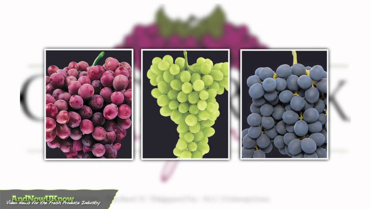 AndNowUKnow: Castle Rock Vineyards - Shop Talk