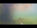 Подводная охота. Маныч. Поиск рыбы. Открытие летнего сезона 2020
