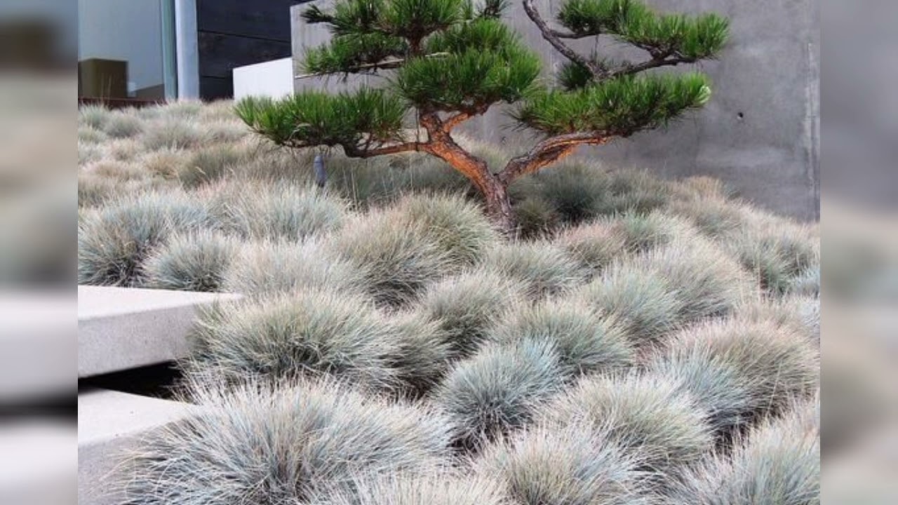 🌿 Garden Design Ideas 2025 | Beautiful & Creative Outdoor Spaces 🏡🌸