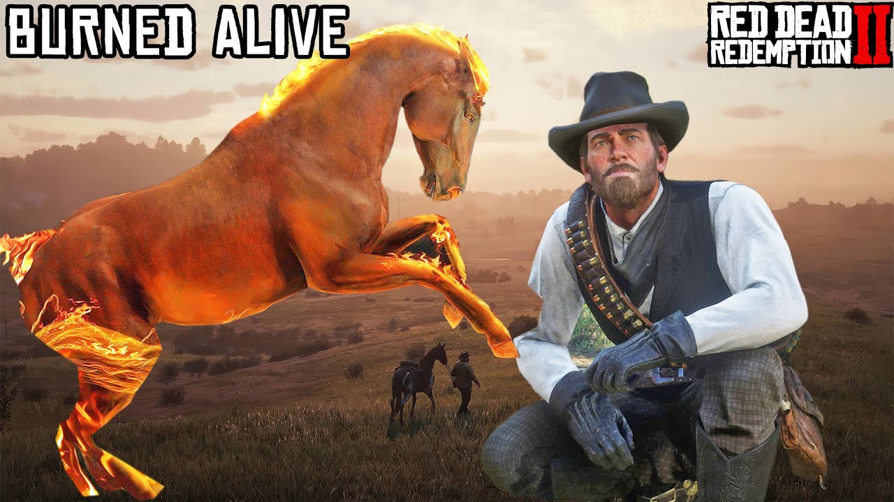 I killed my horse in every way possible in Red Dead Redemption 2 - YouTube