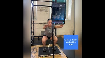 Bodyweight Squat - Free Run│Hawkin Dynamics Force Plates