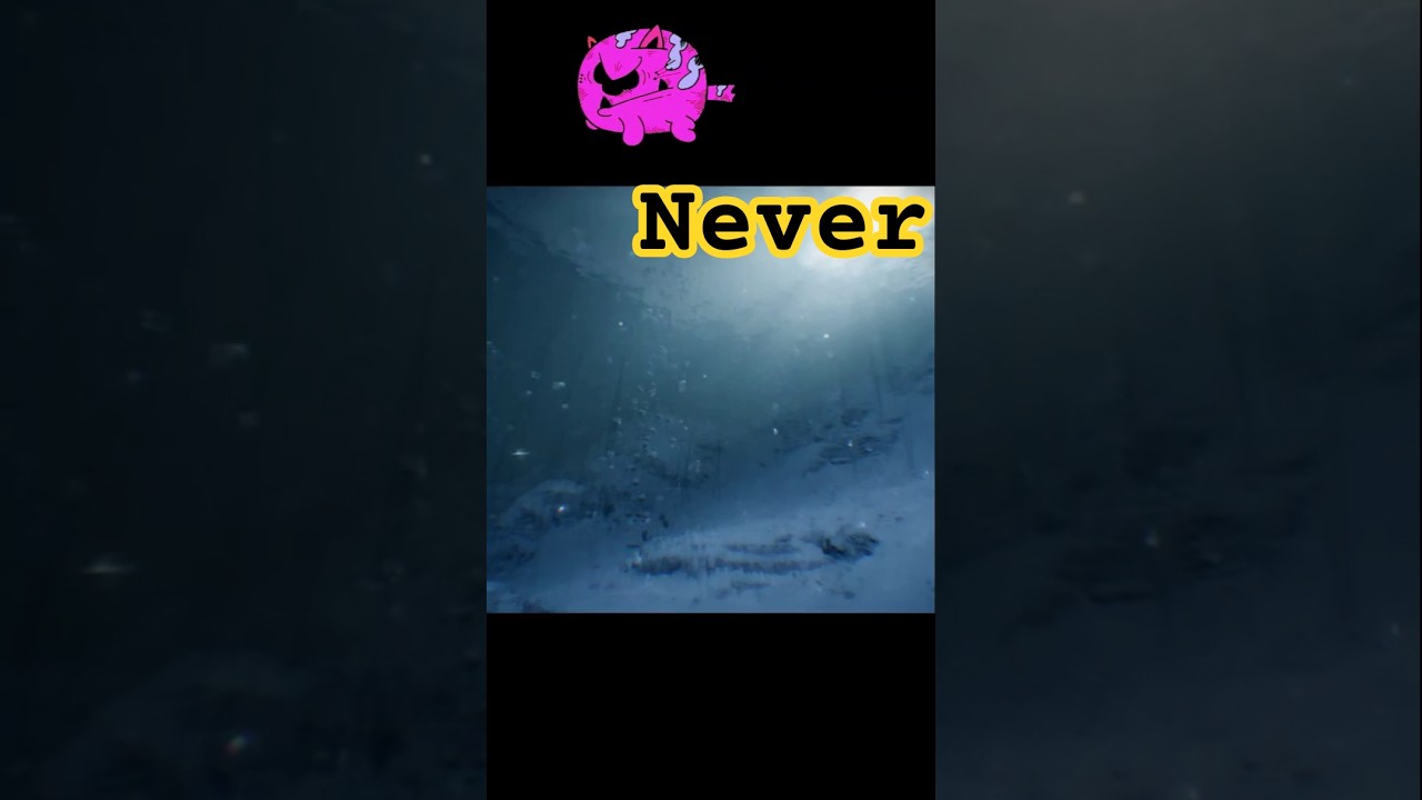 Never Sleep in the Snow 