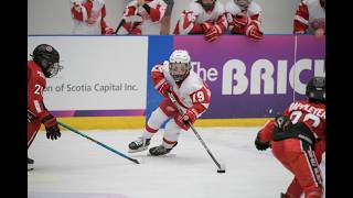 2023 Brick Invitational - Detroit Jr Red Wings vs Western Selects