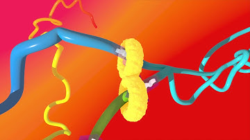 An Illustration of DNA Extrusion