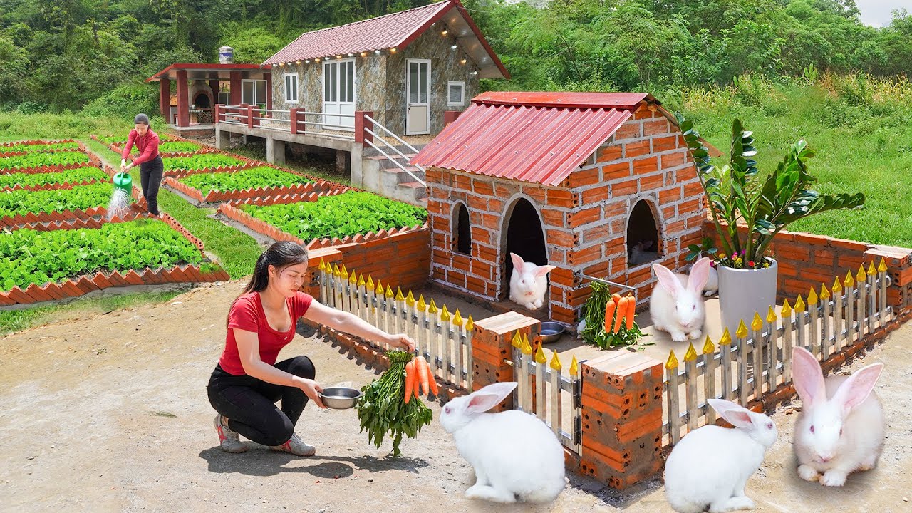 Raising Rabbit With Creative House - Building A Beautiful Bunny House ...