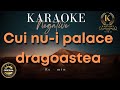 Cui nui place dragostea  karaoke  negative  si  min