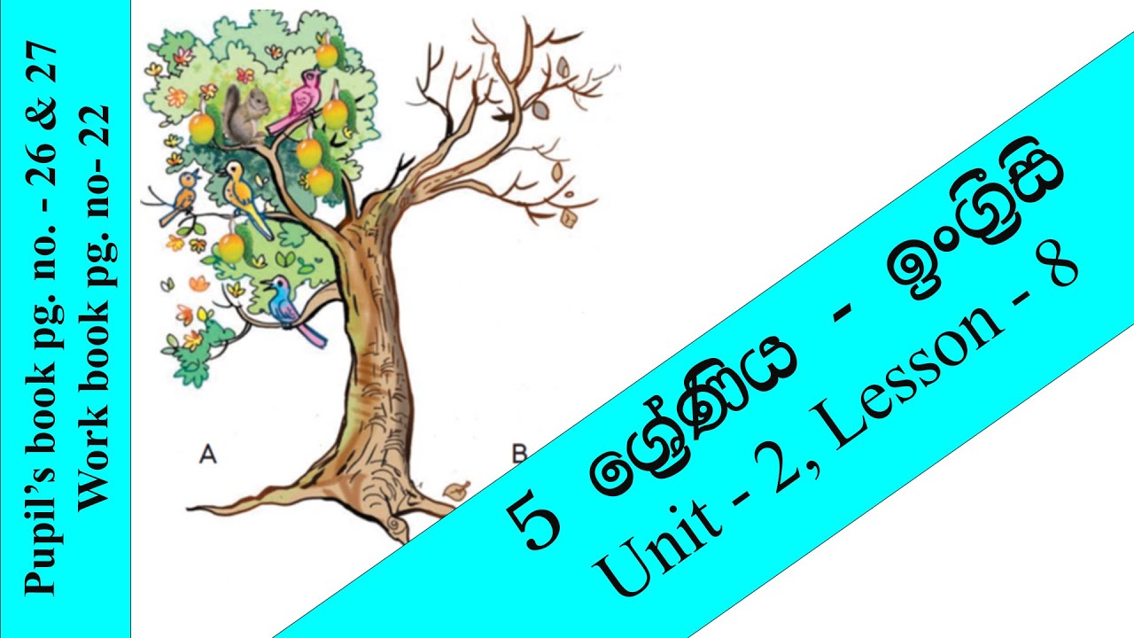 Grade 5 Unit 2 Lesson 8