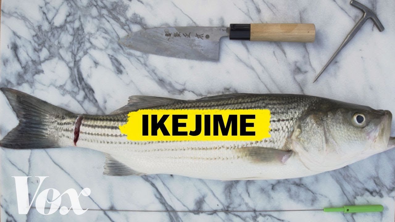 The right way to kill a fish