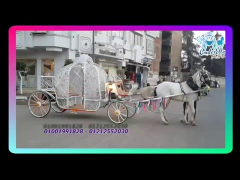 عربة سندريلا حلم كل عريس و عروسة واااو حاجه فوق الخيال بجد يابخت اللي هتتزف فيها