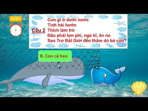 Ltv_mĩ thuật 2_tuần 3_ bài những con vật dưới đại dương
