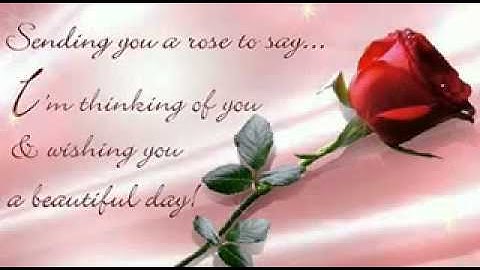A Rose To SayThinking Of You from www metacafe com]