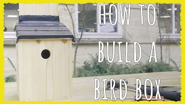 How to Build a Bird Box