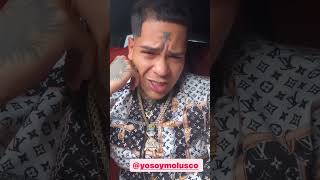 #Almighty le dice mamón a #Molusco porque no quiere subir que le va a tirar a #BadBunny 😂