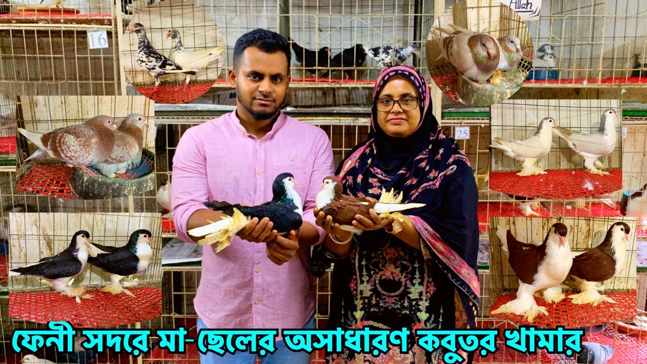 ফেনী সদরে মা-ছেলের ব্যতিক্রমী কবুতর খামার: সাফল্যের একটি গল্প | Abdullah Pigeon Loft, Feni 