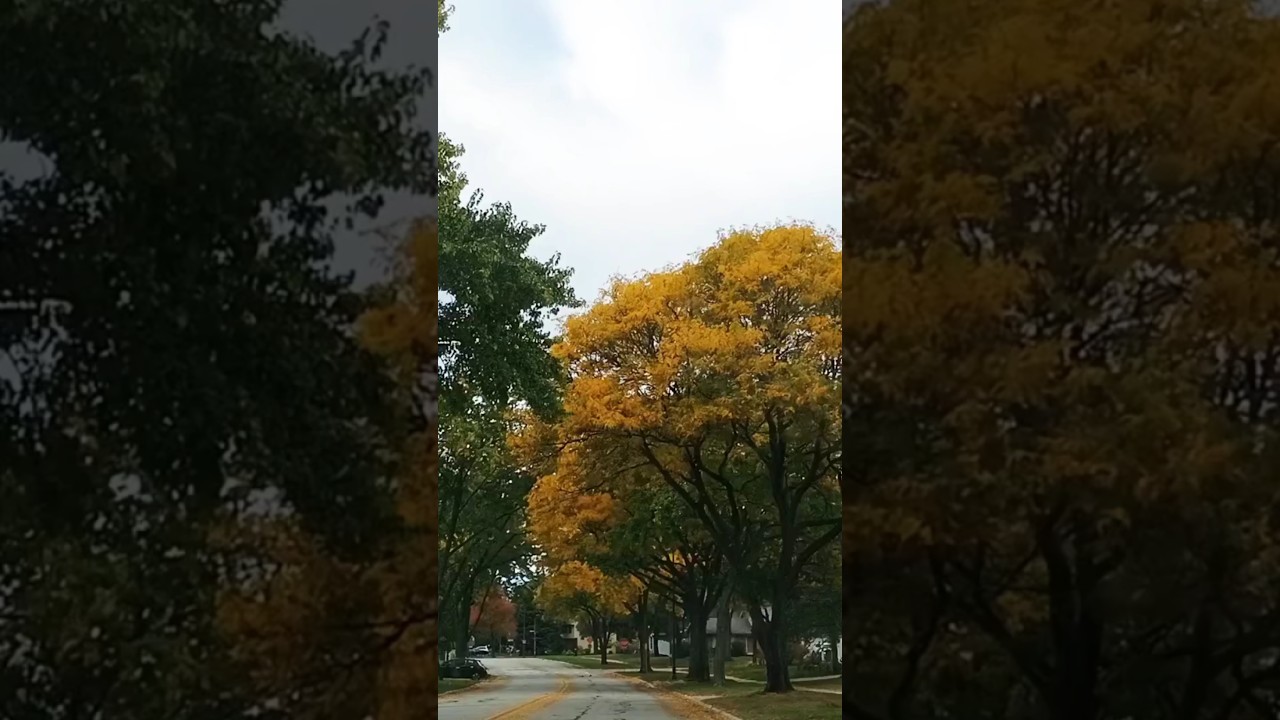 #Fall