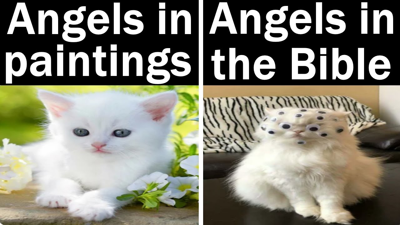 Сочные мемы за ночь 1033 + 1034