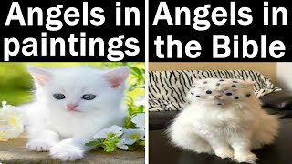 Nightly Juicy Memes 1033   1034