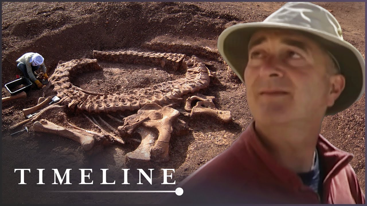 ⁣The Hunt For Dinosaur Fossils In The Rocky Mountains | Dinosaur Hunt: A Time Team Special | Timeline