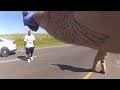 Bodycam: Officer Involved Shooting. Austin, TX. August 19, 2021.