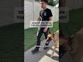 Train the HEEL Command like THIS