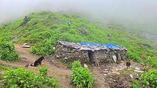 Naturally Beautiful Mountain Village Life During the Rain | Most Peaceful And Relaxation Rural Life