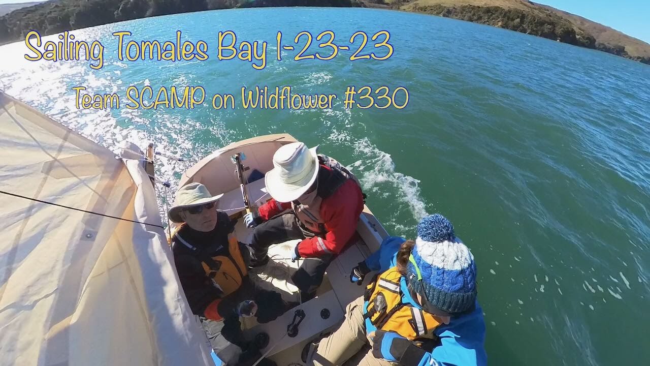 Team SCAMP sailing Wildflower 330 on Tomales Bay 1232023 YouTube