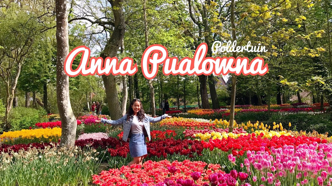 Anna Paulowna 2021 Netherlands: On Vacations North Holland