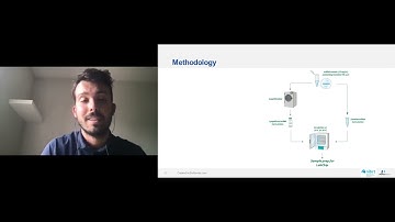 Stability Assessment of mRNA Formulations – Toward the Development of Degradation Assays for mRNA