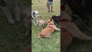 VID 20210605 193119