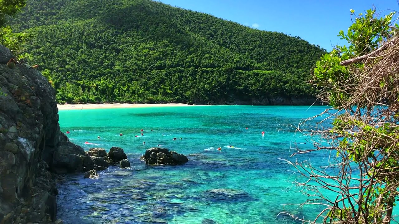 You Must Visit Trunk Bay US Virgin Islands National Park St. John